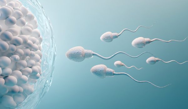 regenesis-mulher-e-gestacao-infertilidade-masculina